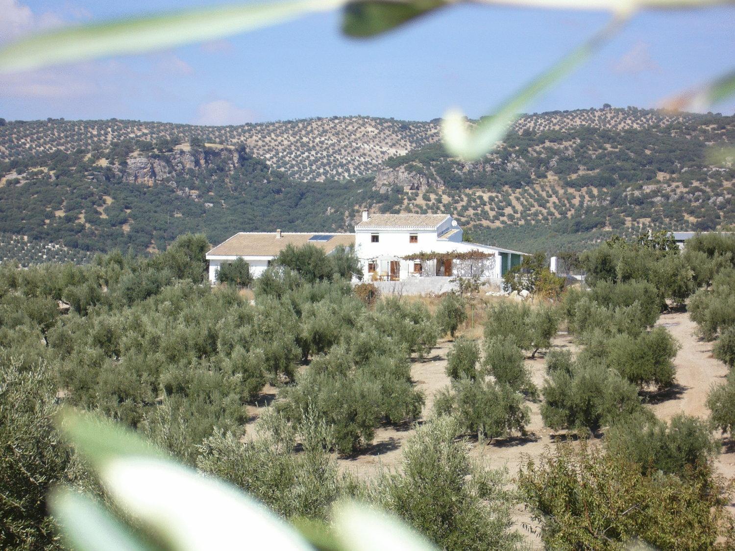 B&B Lasnavillasmm Montefrío Kültér fotó